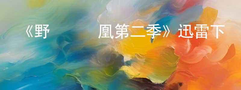 蔡立新的網絡影視資源,《野鴨變鳳凰第二季》迅雷下載/在線觀看-都市情感-美劇天堂